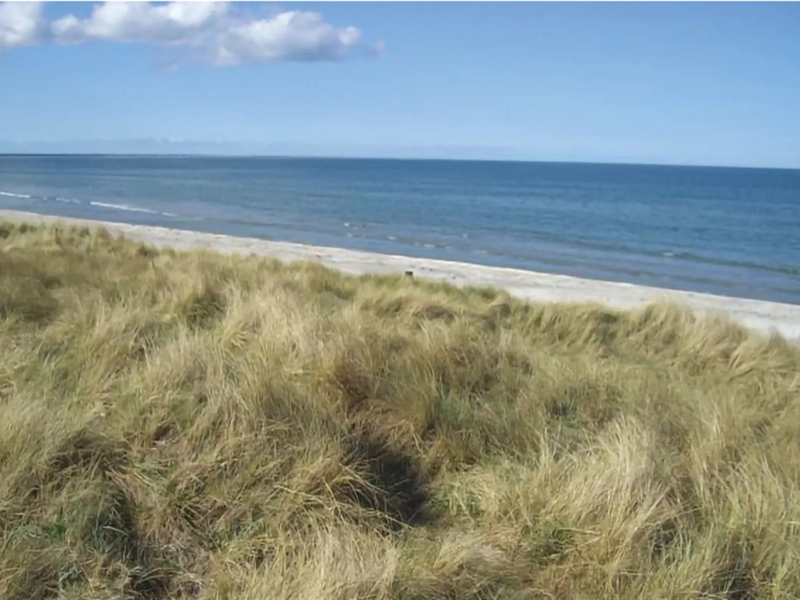 "Frithbjorn" - 900m from the sea-Outside