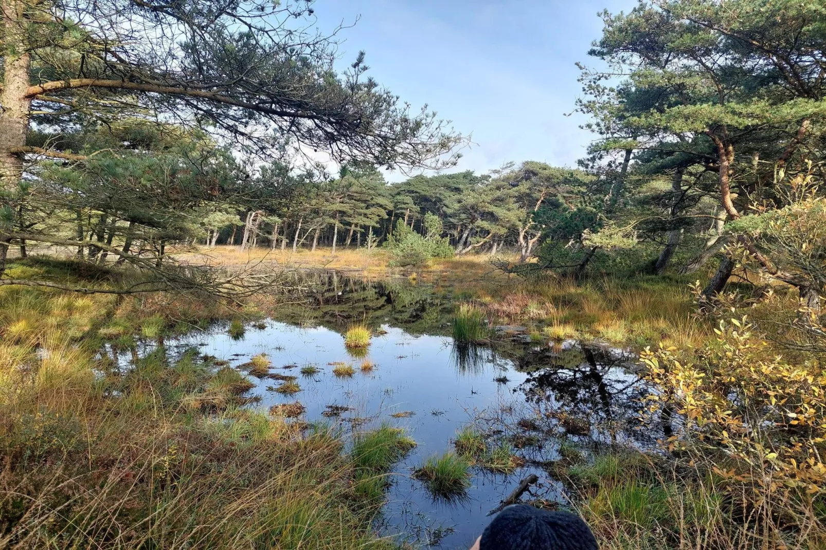 4 Sterne Ferienhaus in Rømø-By Traum-Wasserblick