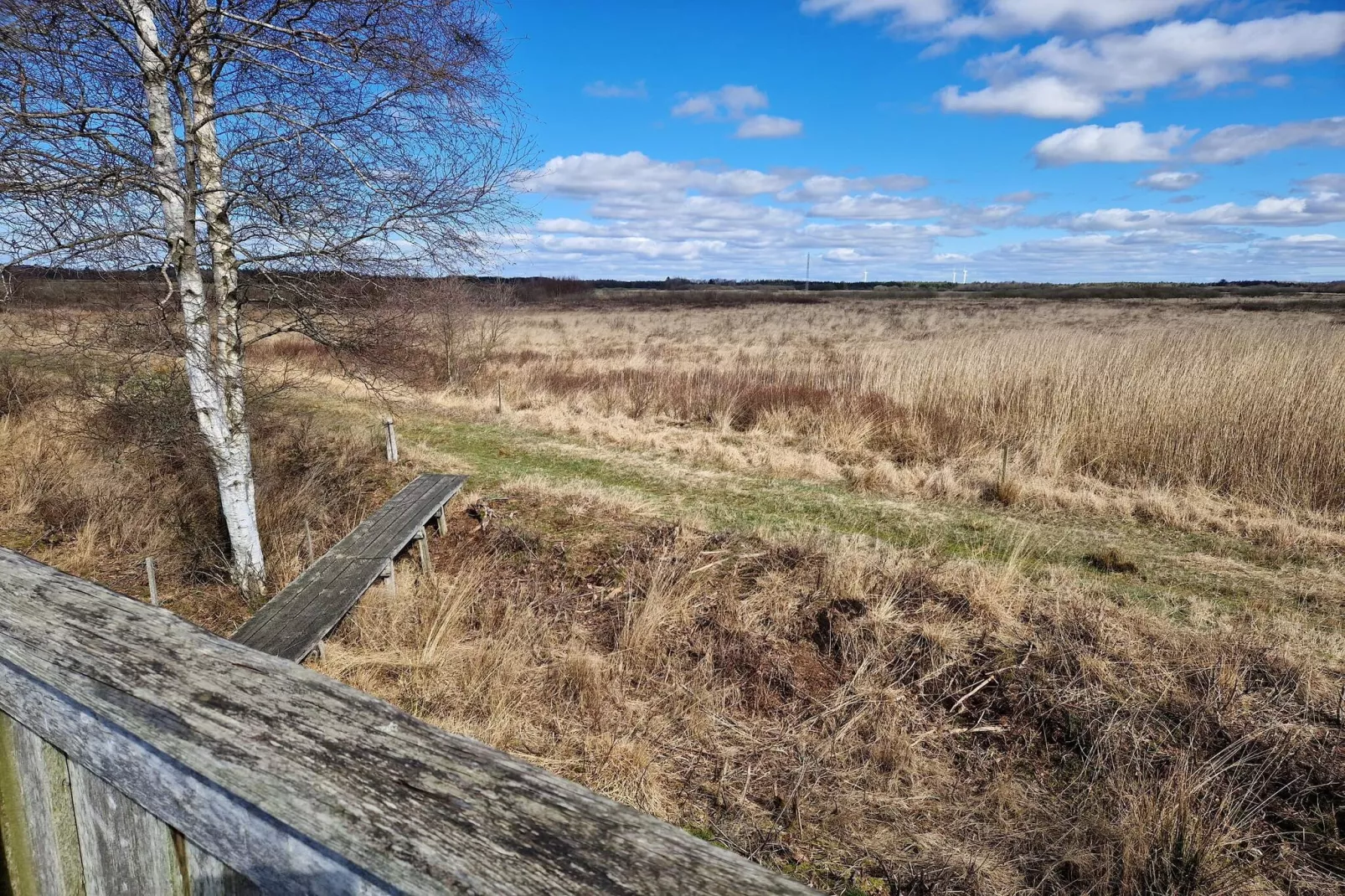 Maison de vacances pour 4 a Bredebro-By Traum-Non tagué