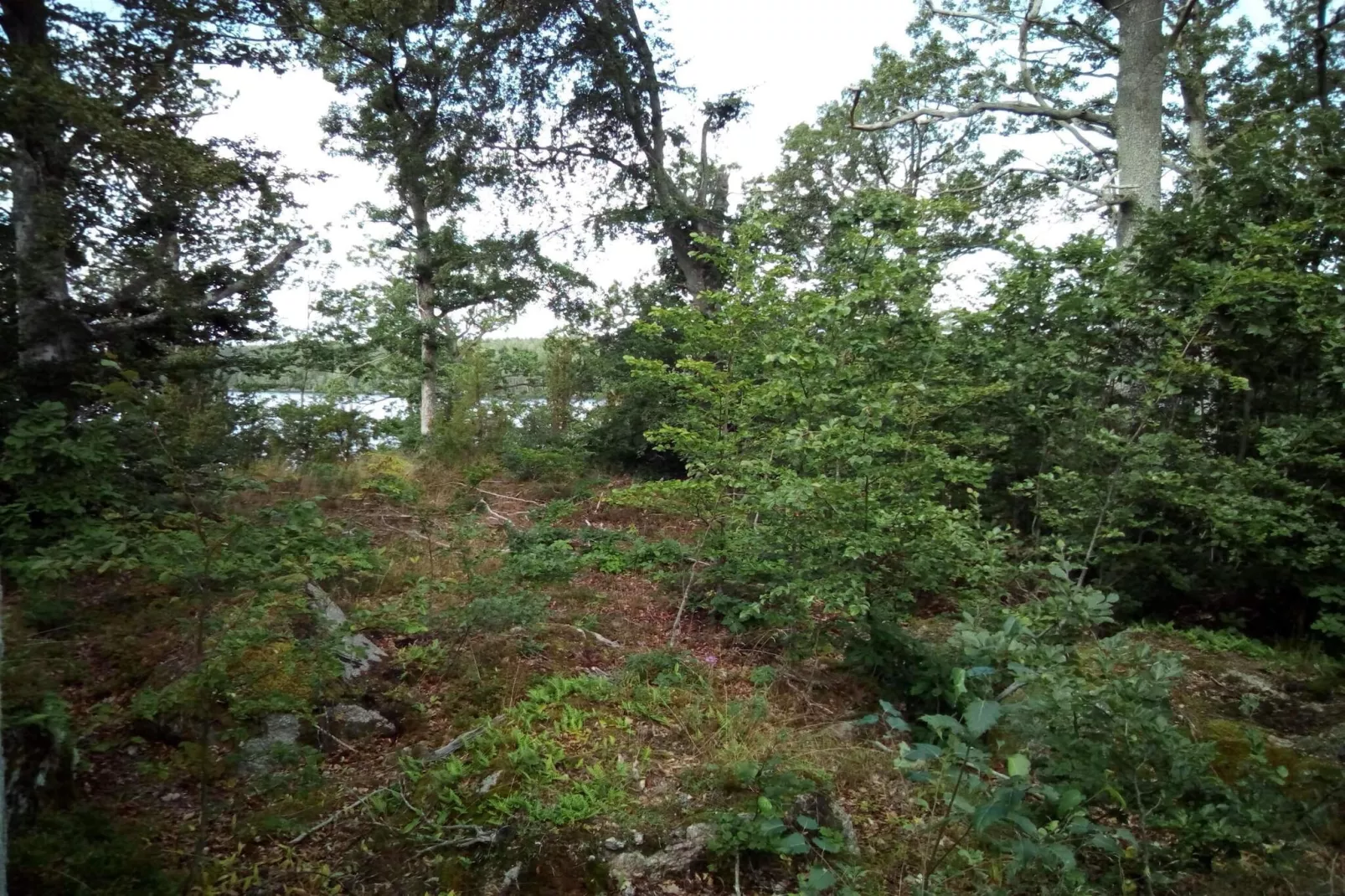 4 person holiday home in Holmsjö-By Traum-Untagged