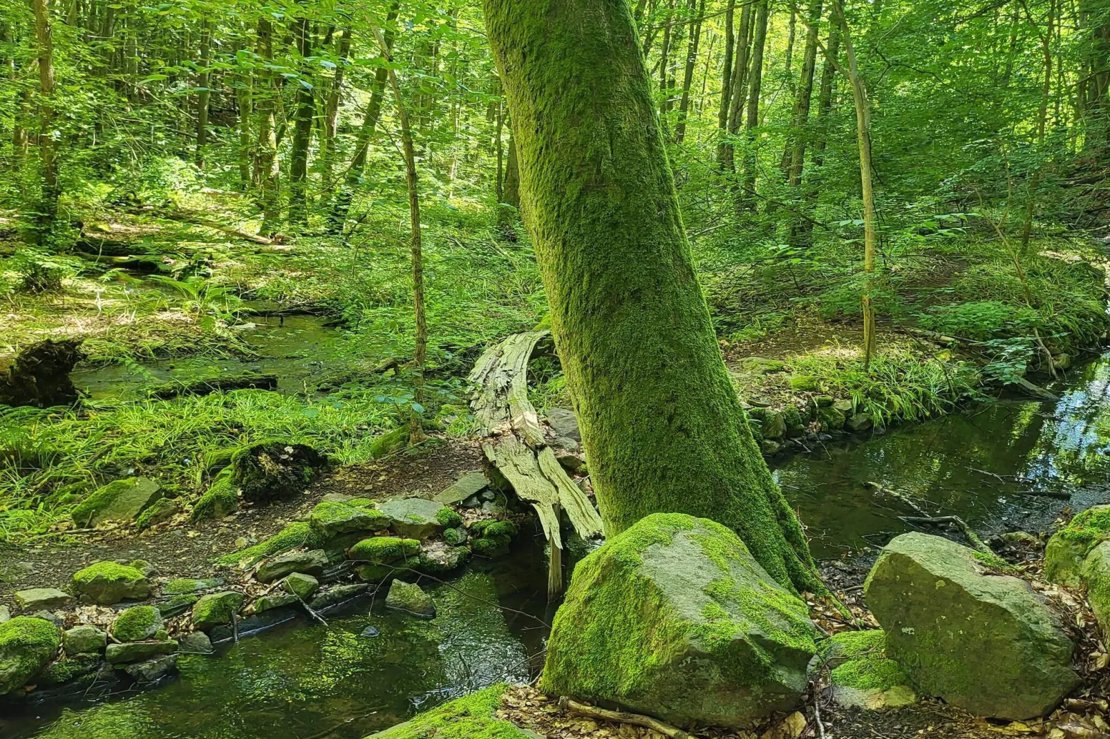 4 star holiday home in Gärsnäs-Untagged