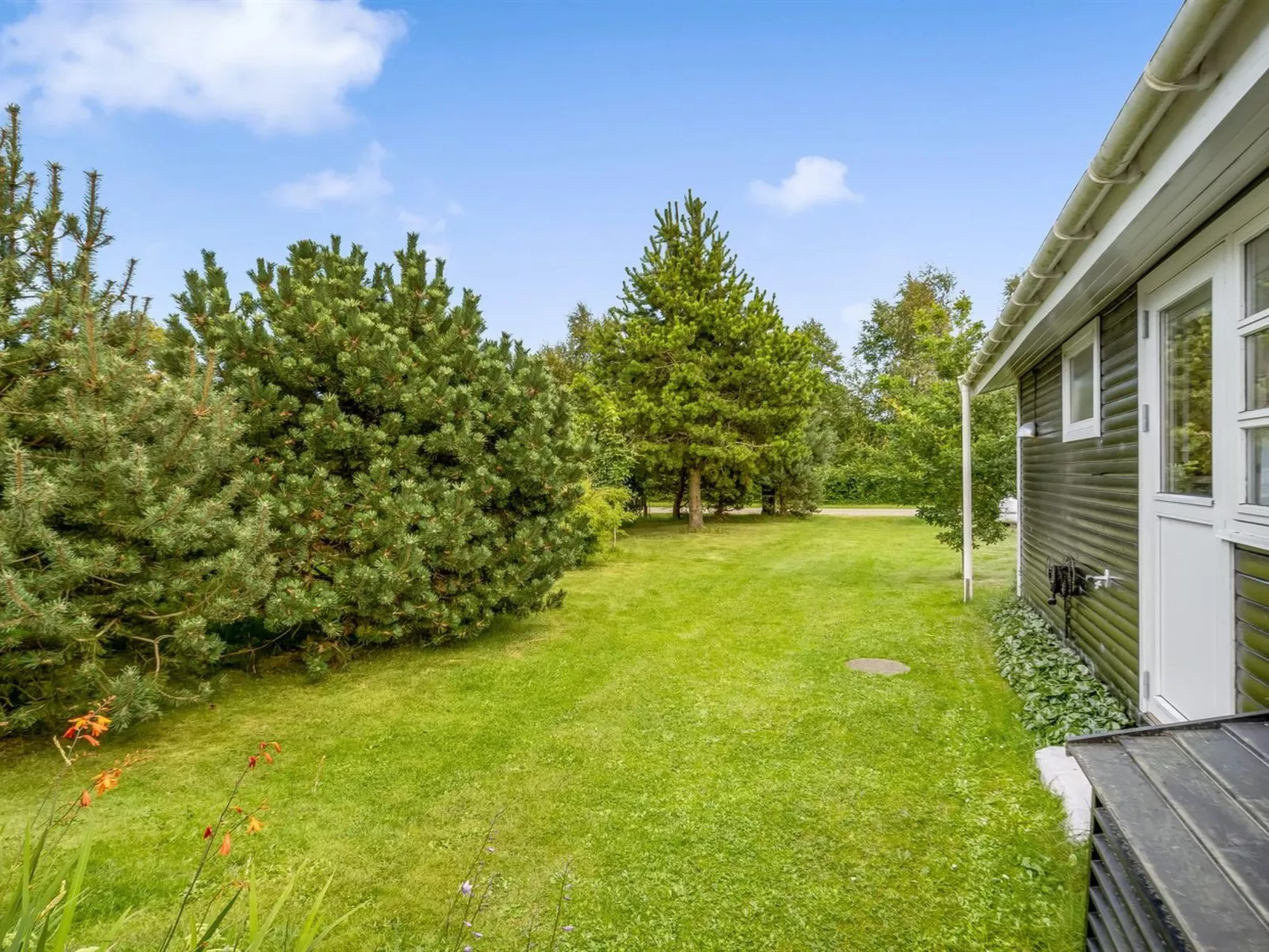 "Roque" -  from the sea-Outside