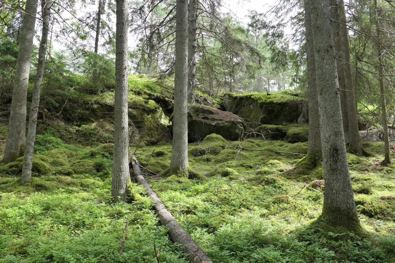 4 etoiles maison de vacances a VÄRMDÖ-Non tagué