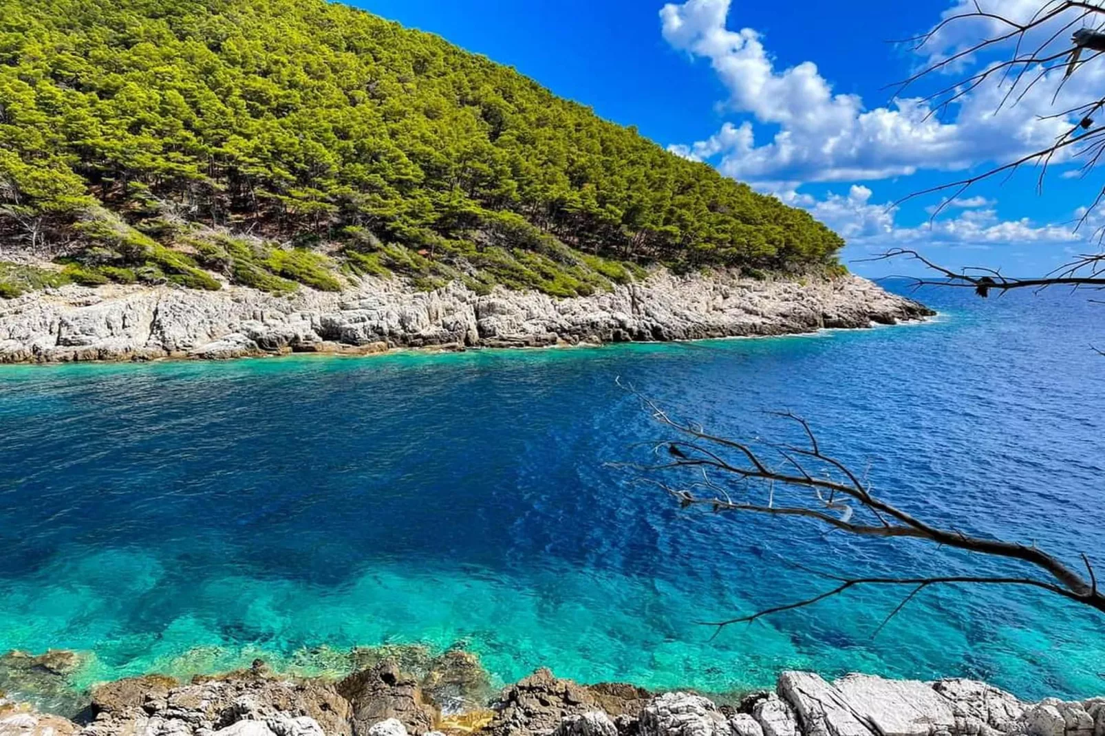 Apartments Franka Saplunara-Triple Room with Terrace and Sea View  No1-Ambiente