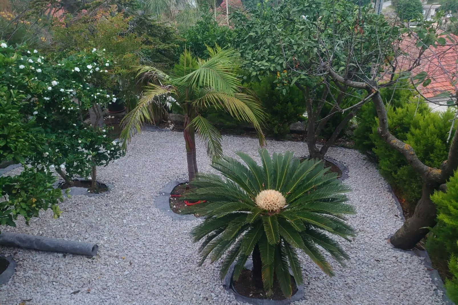 Villa Peragić - Triple Room-Aussicht