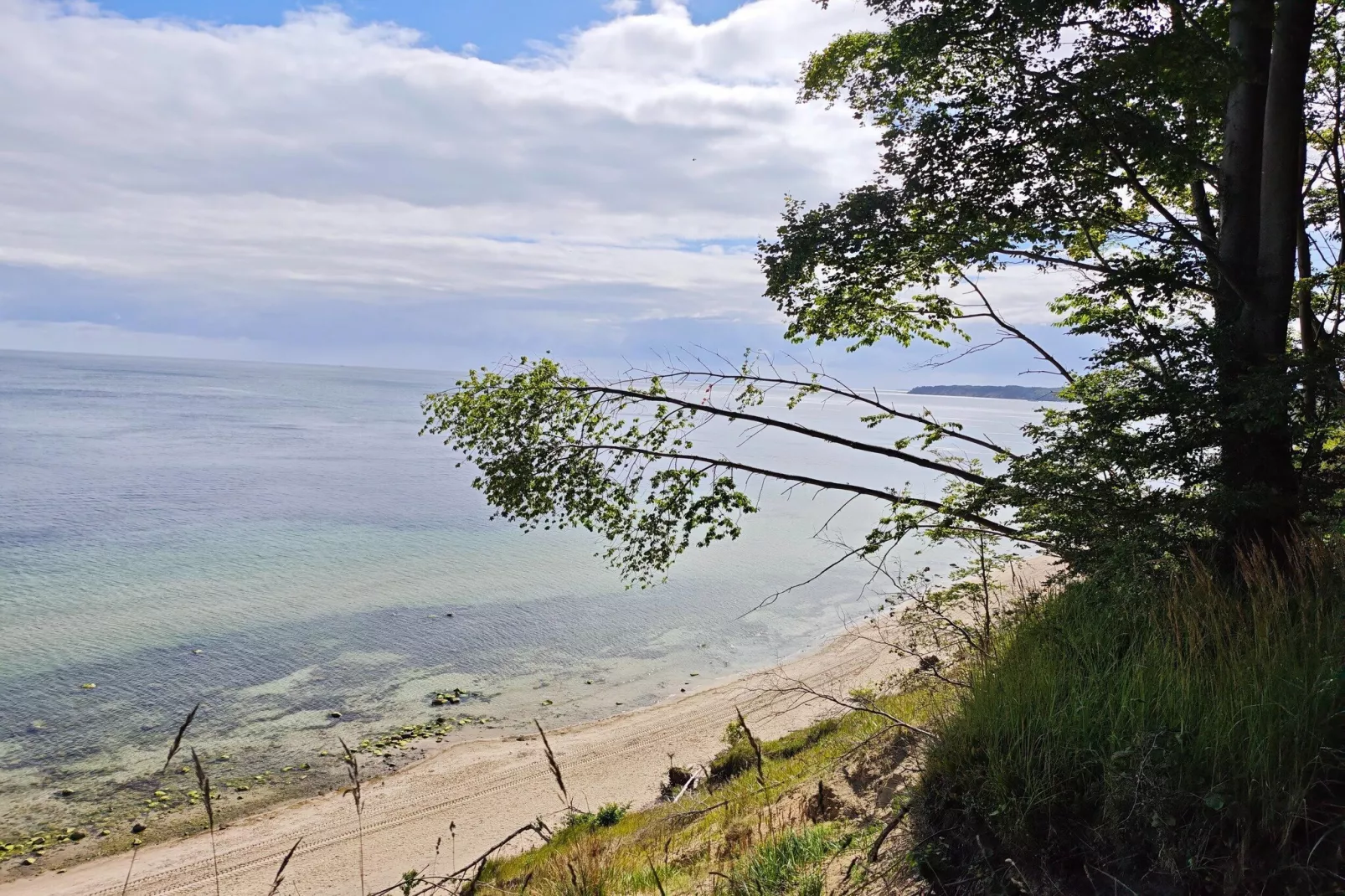 Seepark Sellin - 3 Personen-Areas within 1km in summer