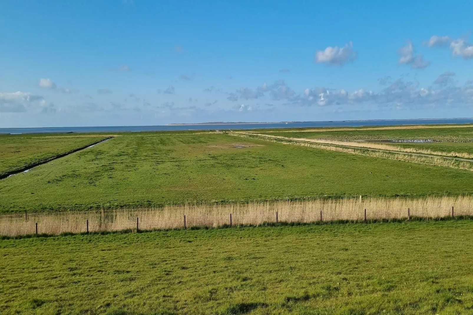 Doppelhaushälfte Wattwurm 34-Gebiete Sommer 5 km
