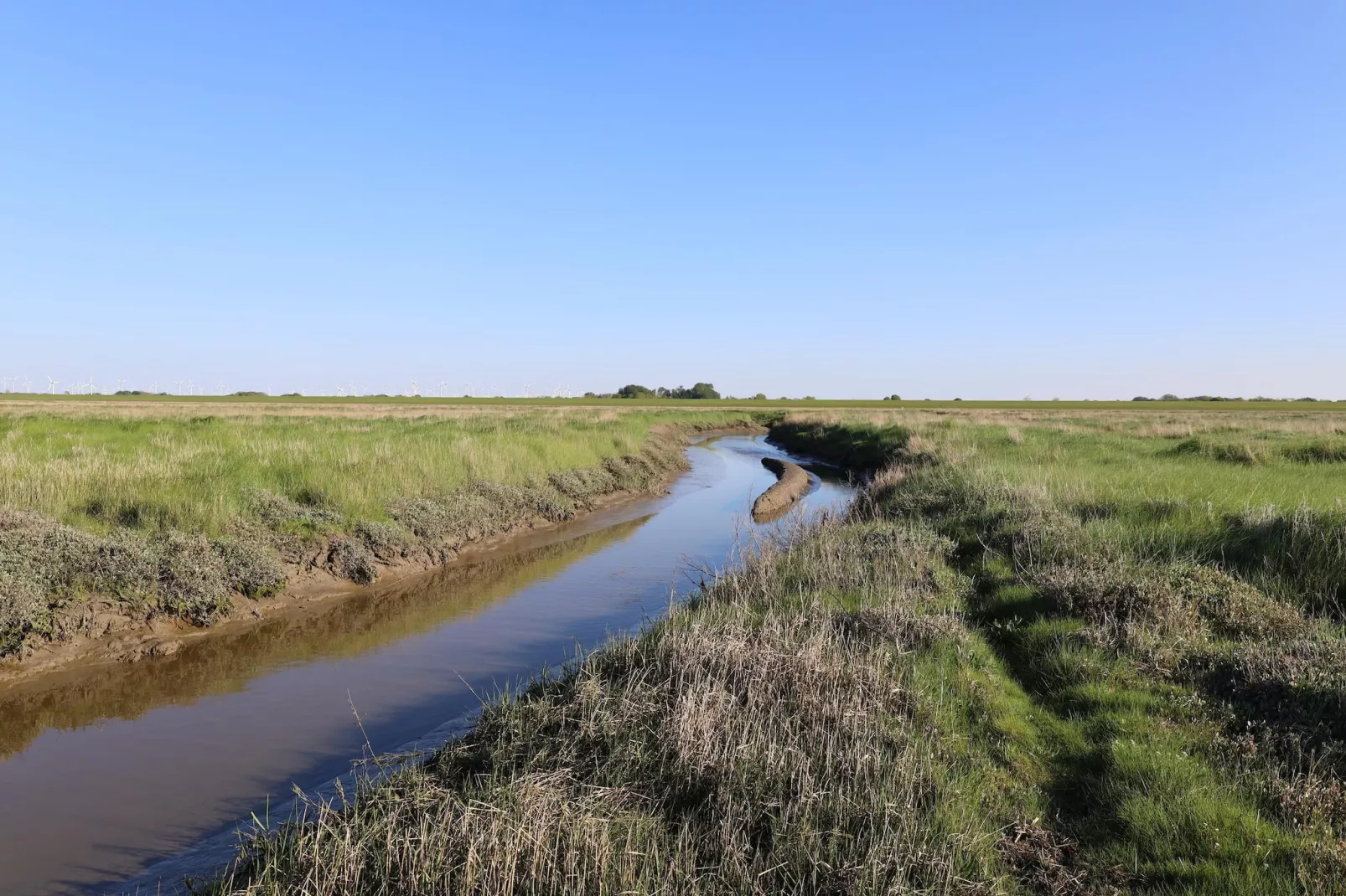 Fewo Seelust 03 Unten-Areas within 5km in summer