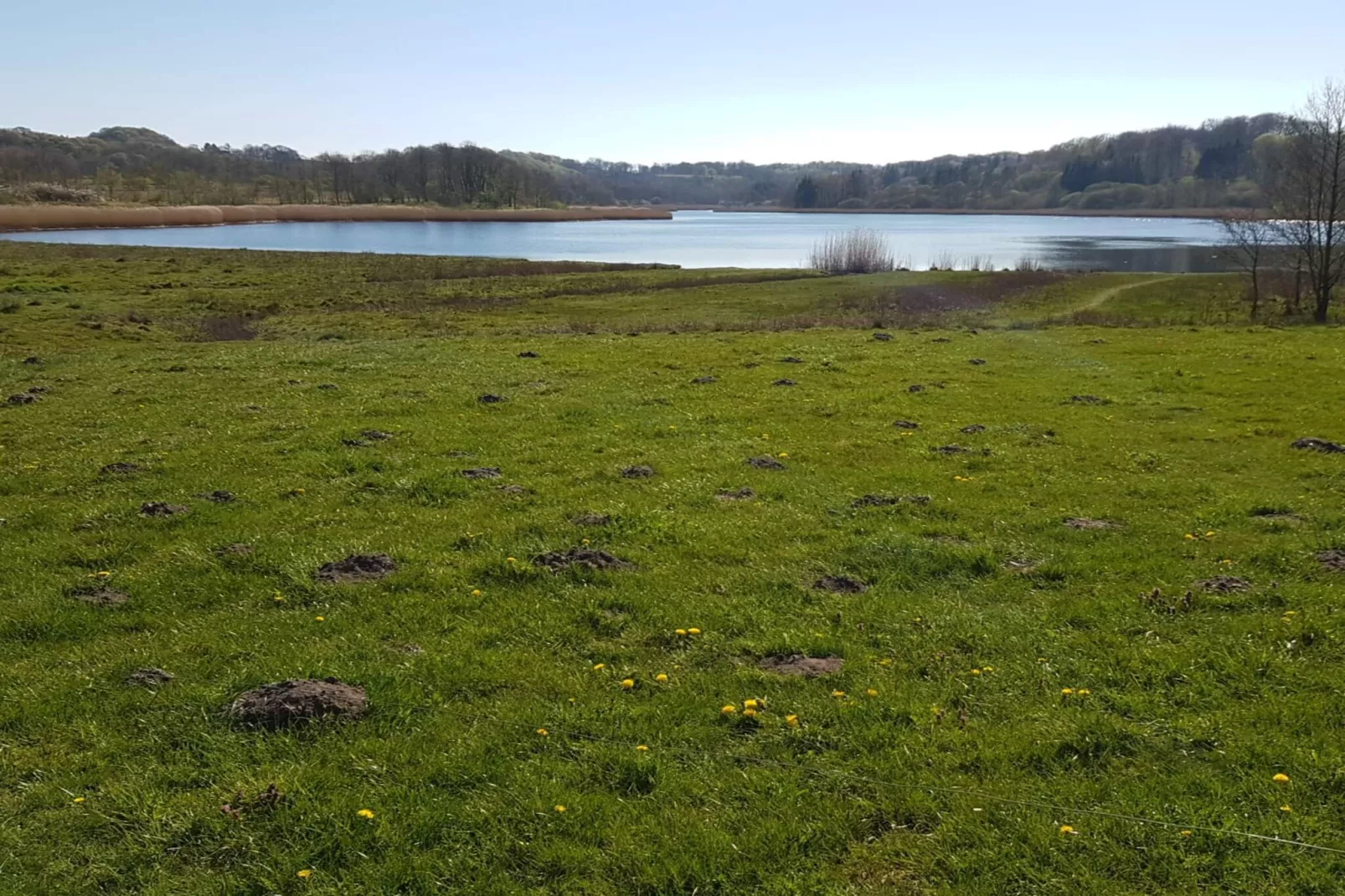 Maison de vacances pour 4 a Haderslev-Vue sur l'eau