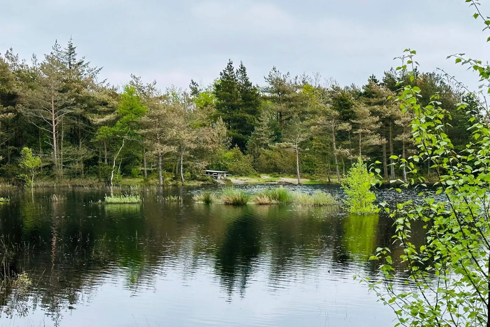 5 etoiles maison de vacances a Rømø-Vue sur l'eau
