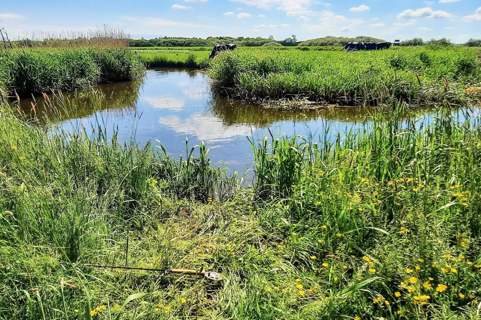 Bright Apartment in Givskud - By Traum Ferienwohnungen-Water view