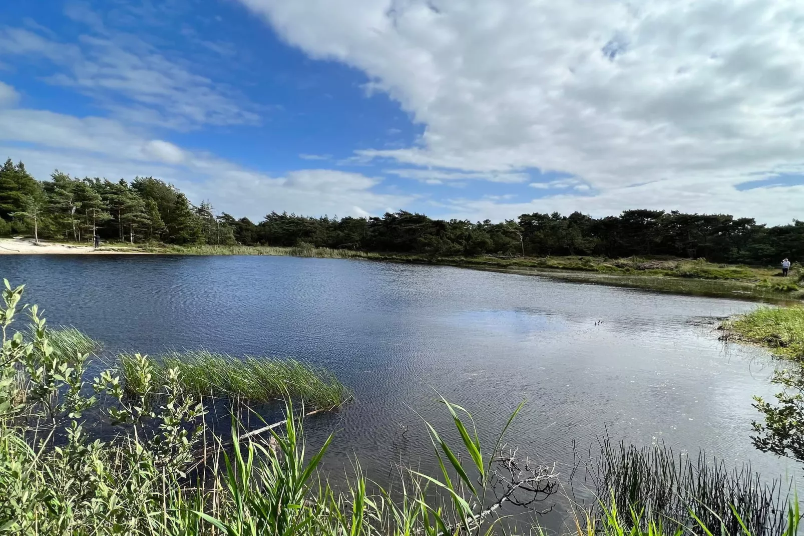 5 Sterne Ferienhaus in Rømø-Wasserblick