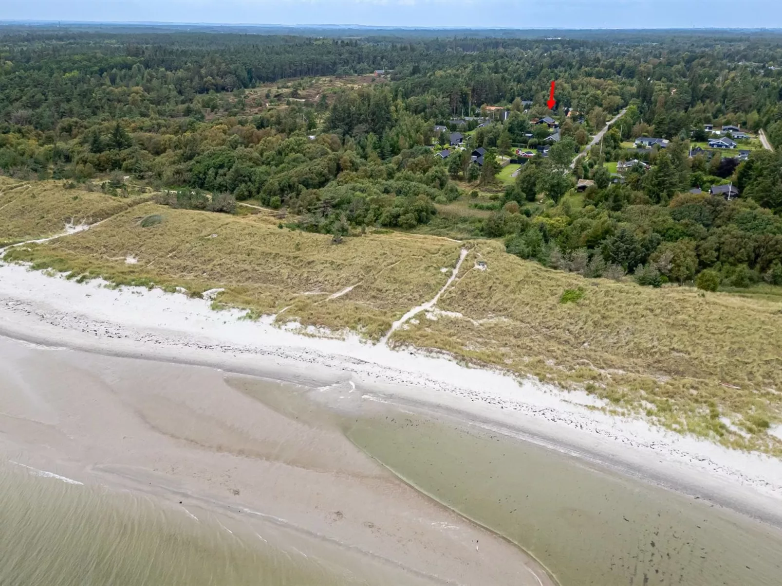 "Jaane" -  from the sea-Dehors