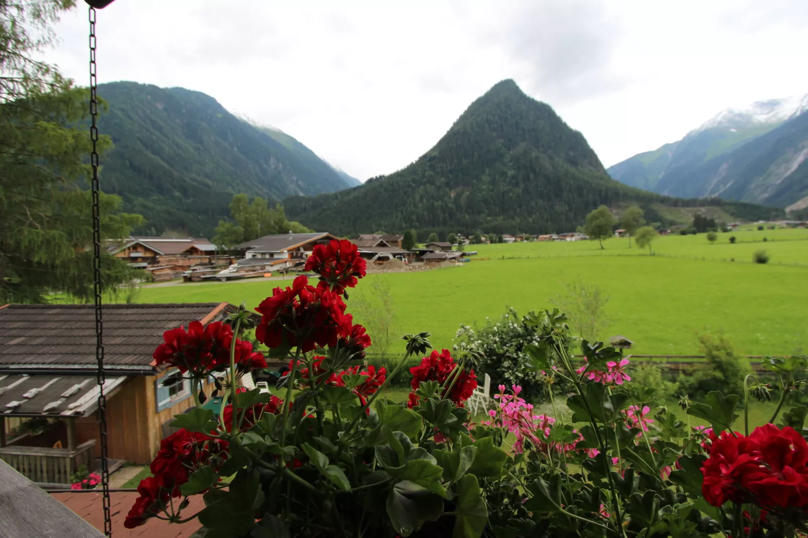 Ferienwohnung Erika-View summer