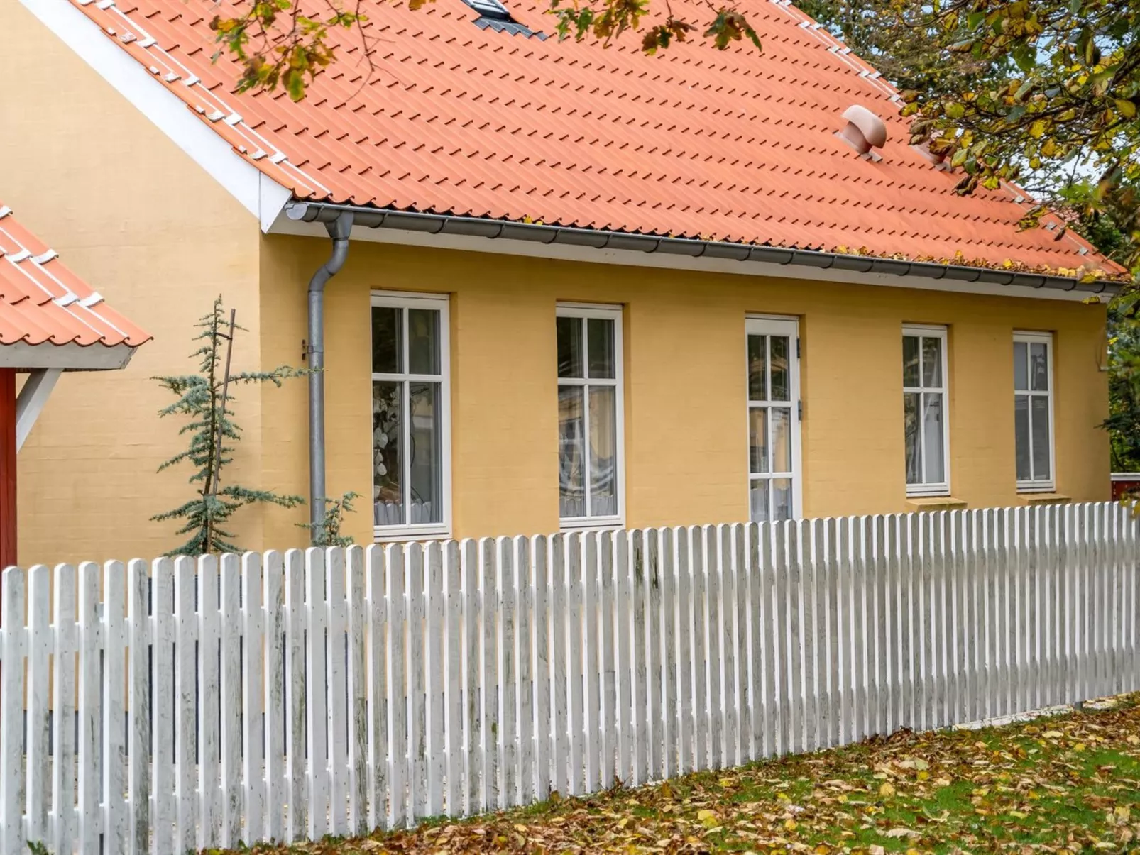 "Elsamaria" - 500m from the sea-Draußen