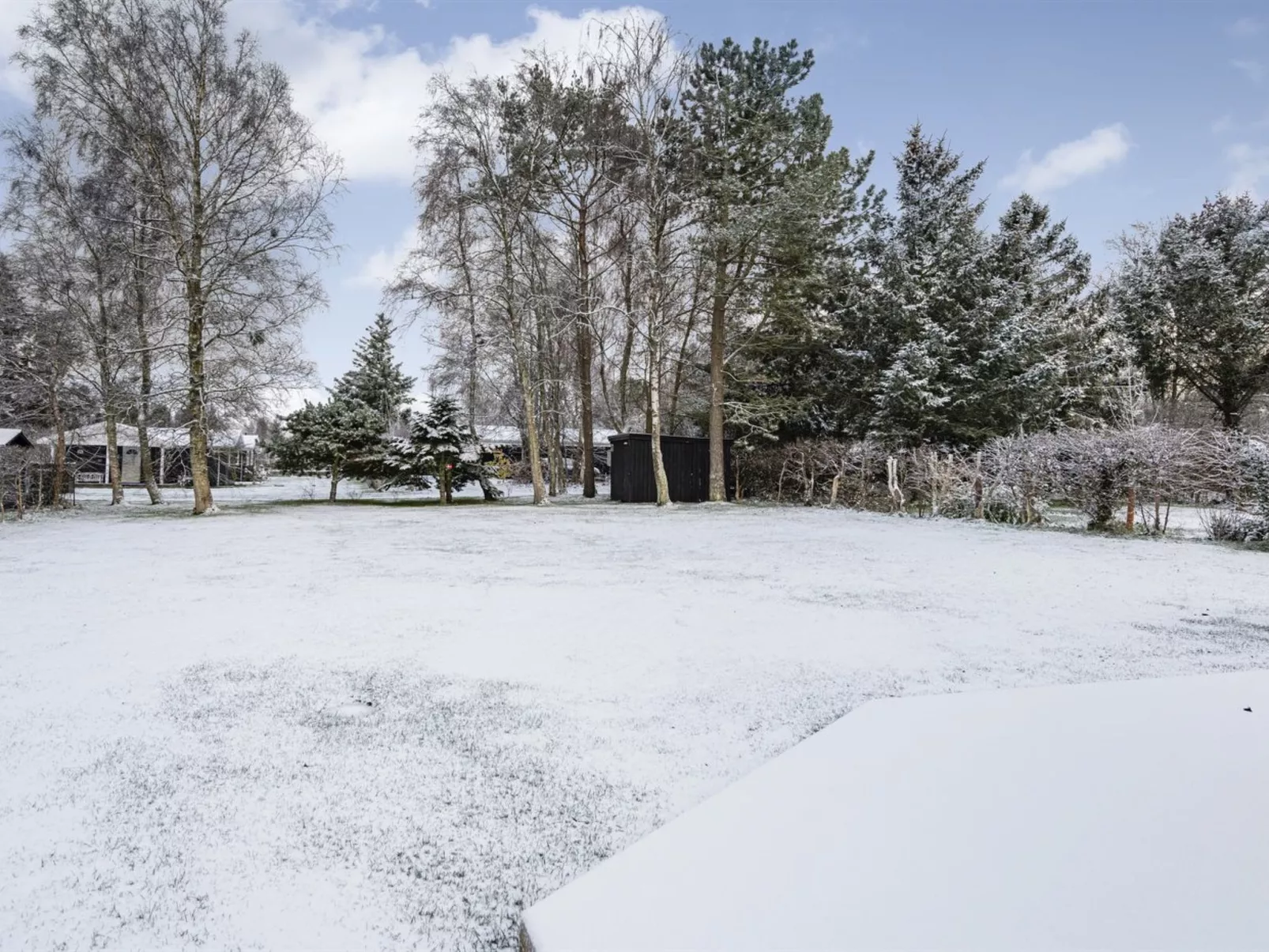 "Evgenia" -  from the sea-Dehors