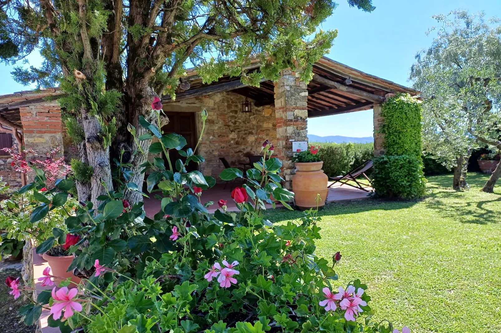 Agriturismo Podere Ceccherini in San Leolino - La Loggia - Gardens in summer