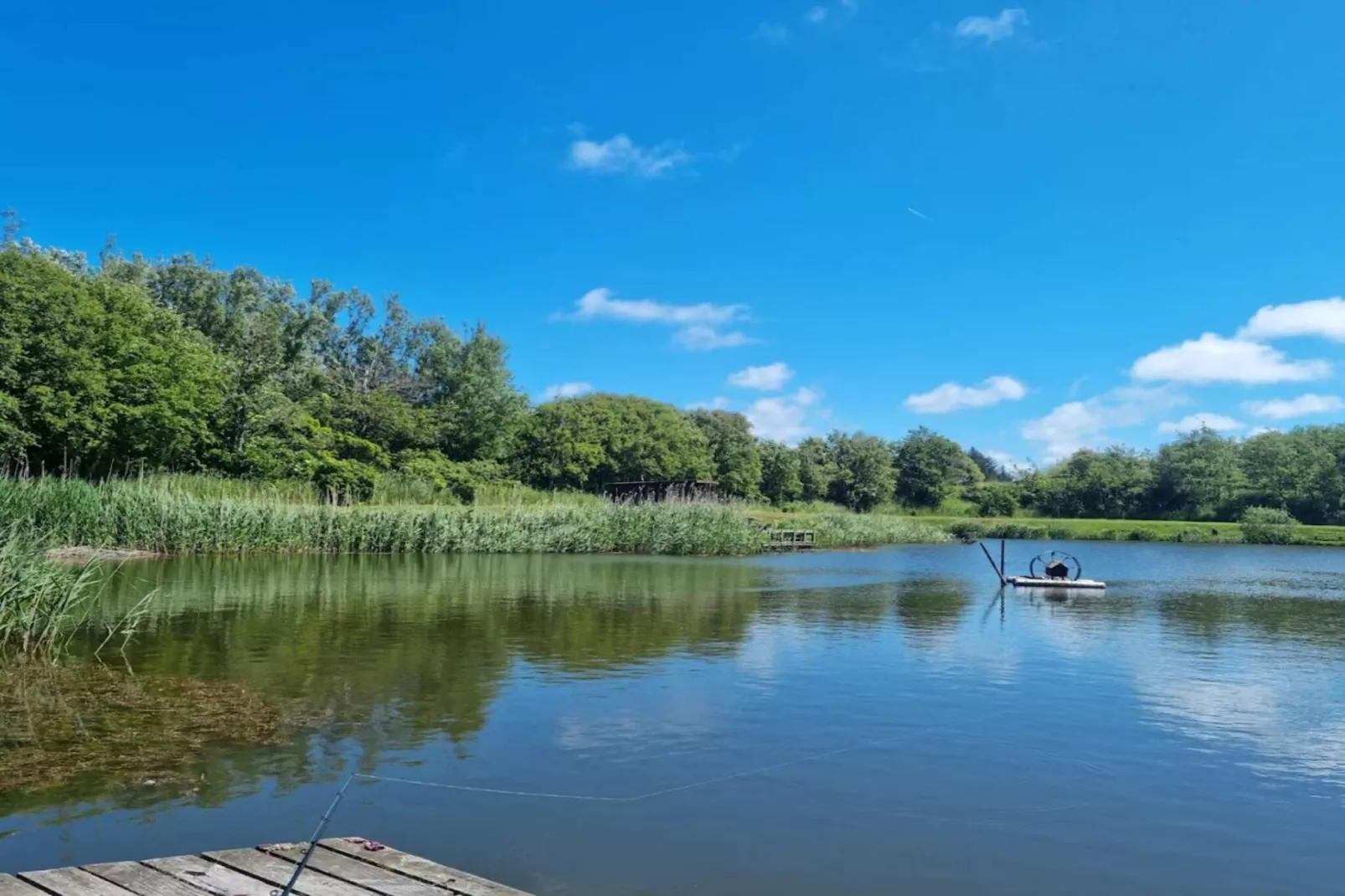 4 Sterne Ferienhaus in Løkken-Wasserblick