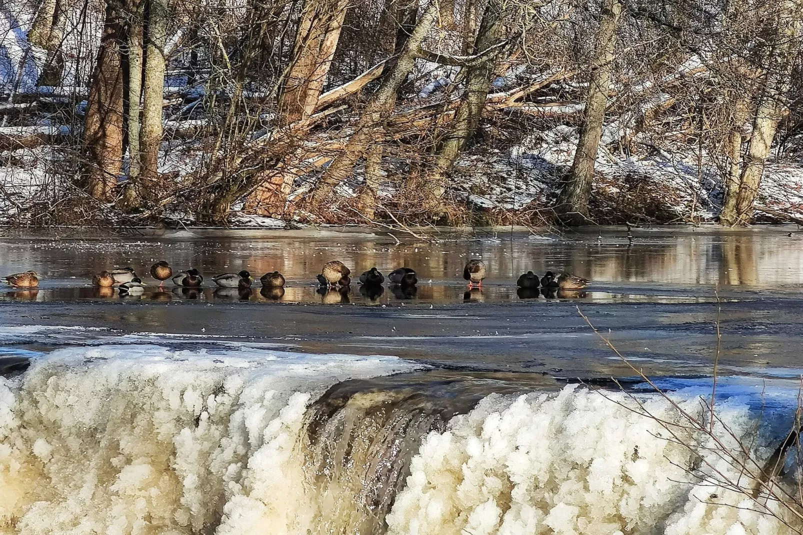 4 star holiday home in MUNKA-LJUNGBY-Water view