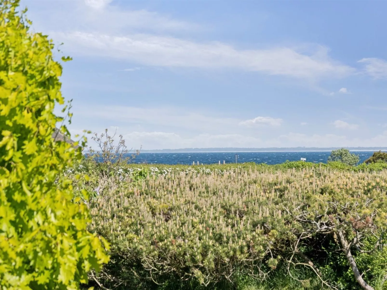 "Sukie" - 100m from the sea-Outside