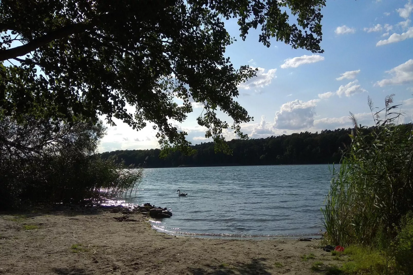 Luxus-Familienappartement / 3 Personen - Gebiete Sommer 1 km