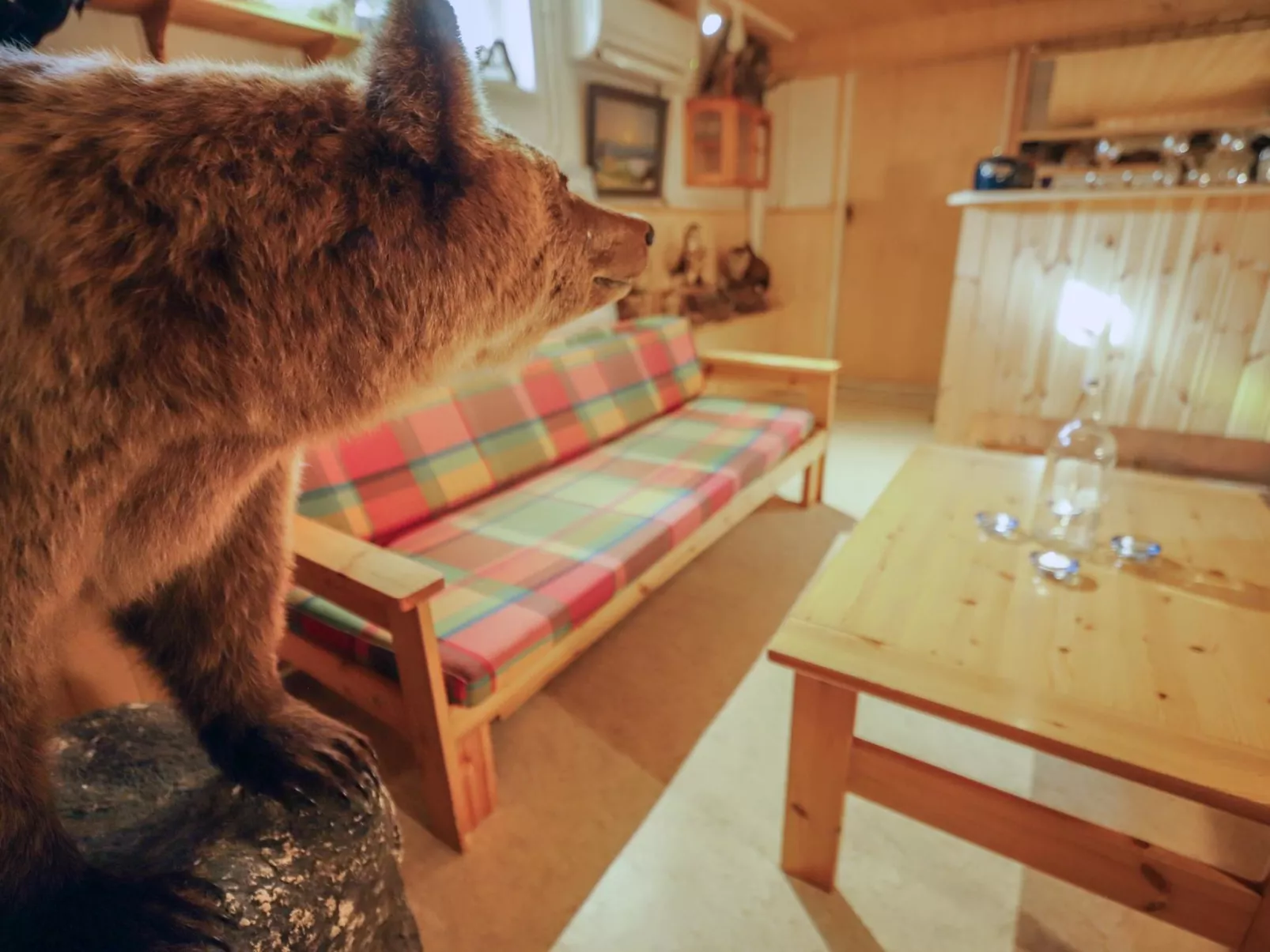 Lövgårdenin lohimaja-Inside