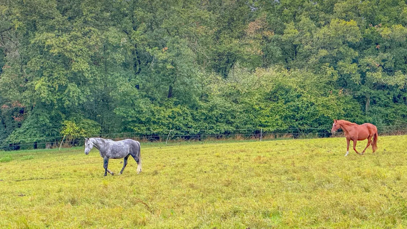 Panoramablick-Zones été à 1 km