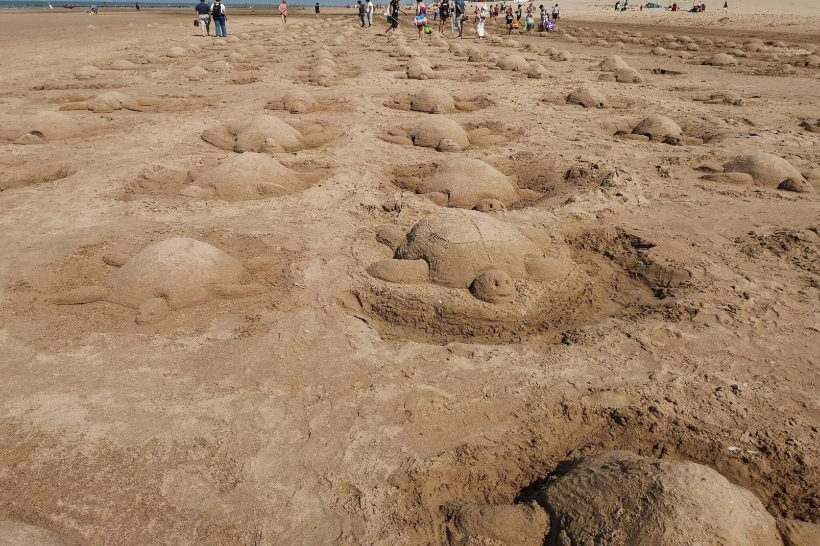 De Rede-Areas within 5km in summer