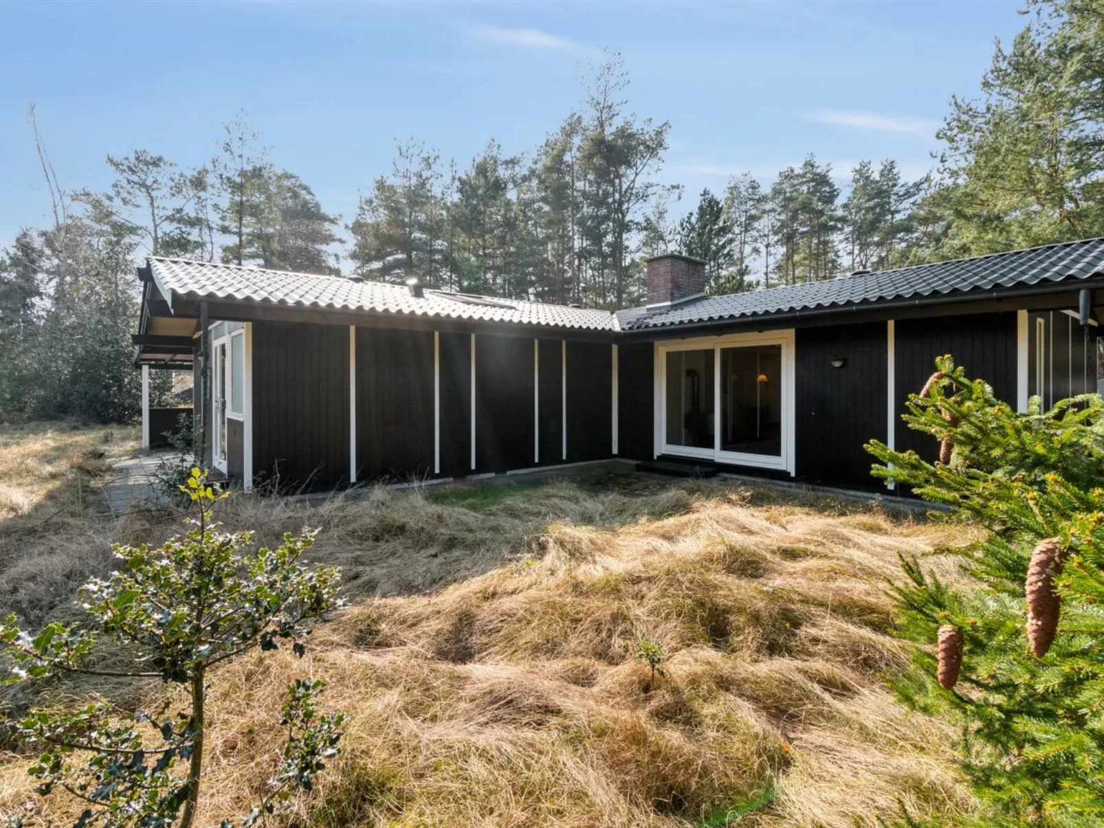 "Ahti" - 340m from the sea-Outside