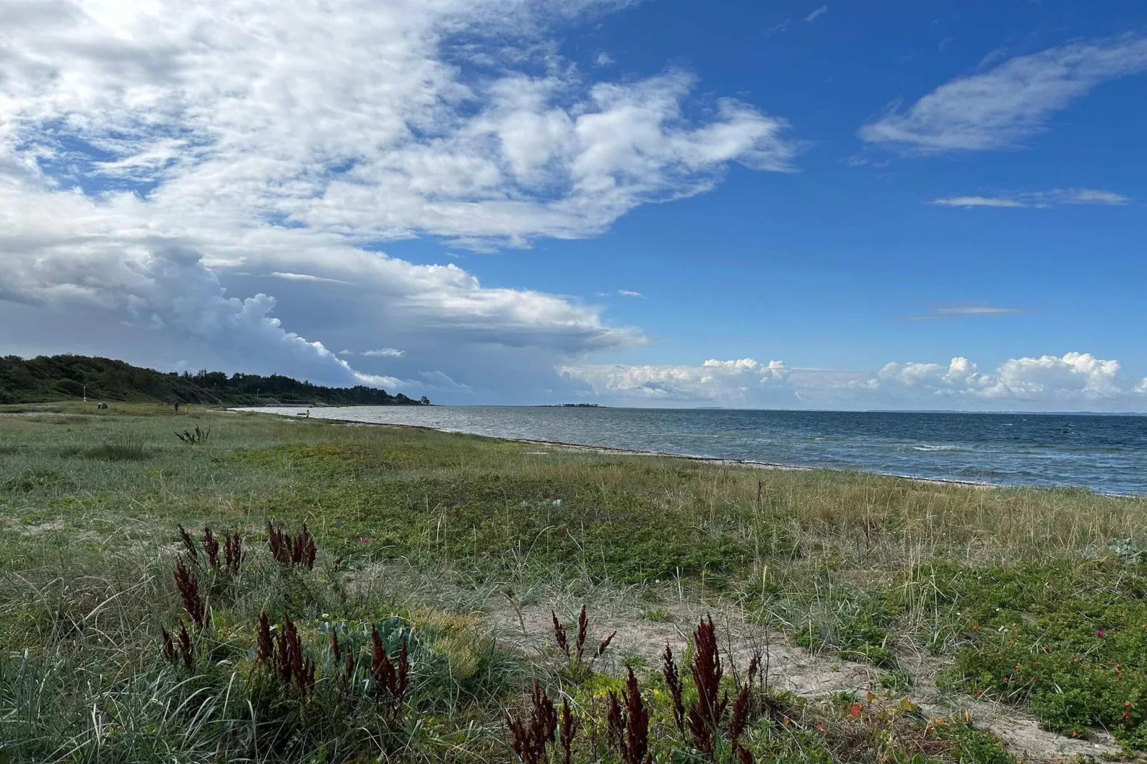 8 person holiday home in Jægerspris - Water view