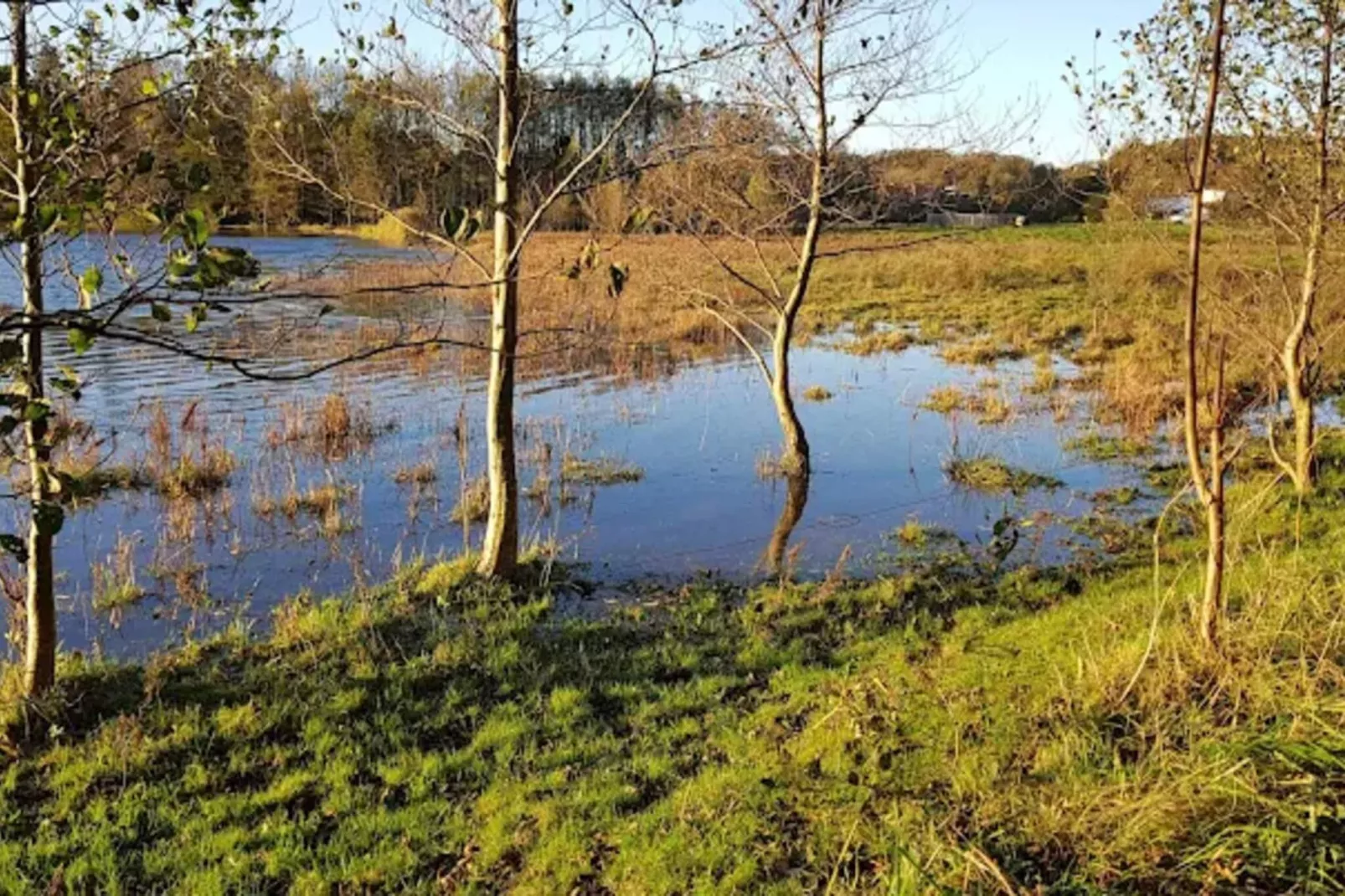 4 Sterne Ferienhaus in Aabenraa-Wasserblick