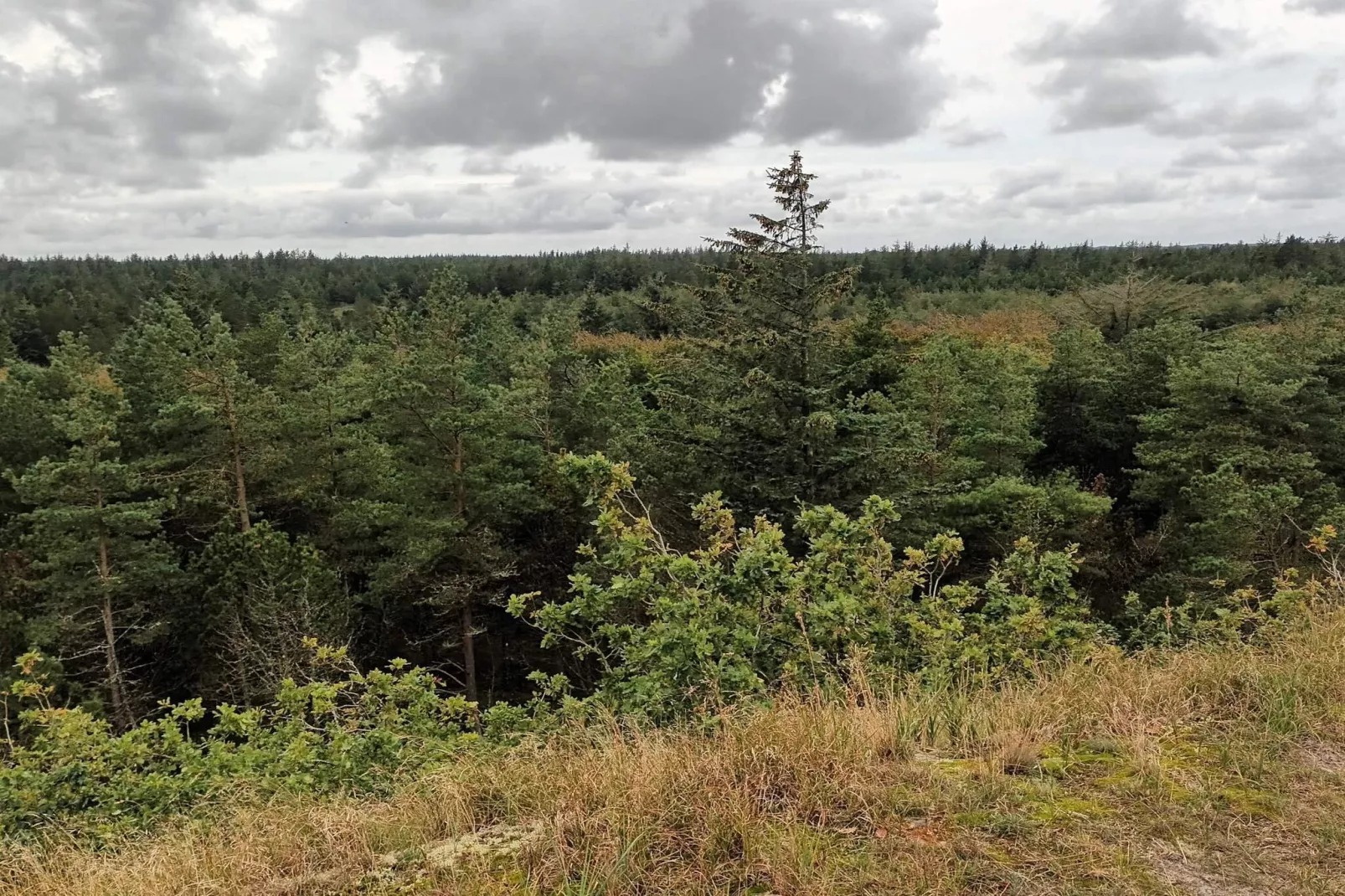 Maison de vacances pour 5 a Snedsted-Non tagué