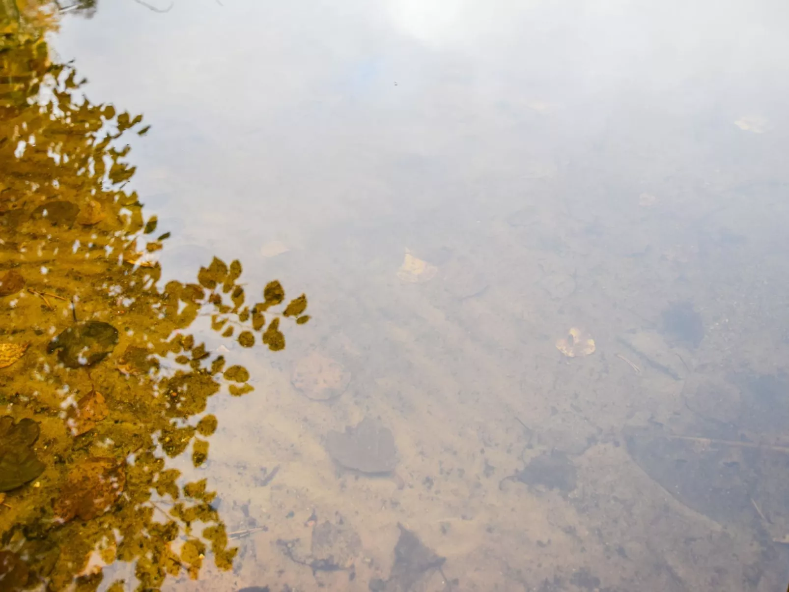 Mökki mikkola-Dedans