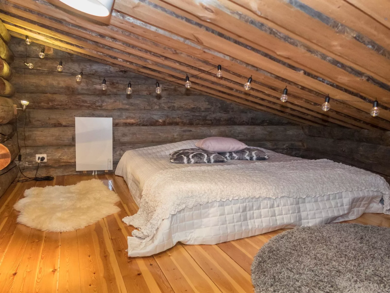 Salmikangas f1-Dedans