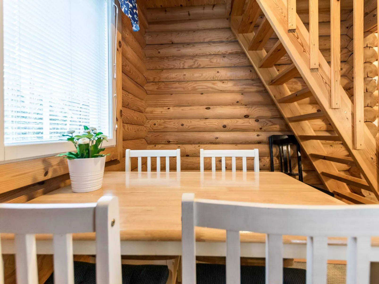 Kilpolan pauliina-Dedans