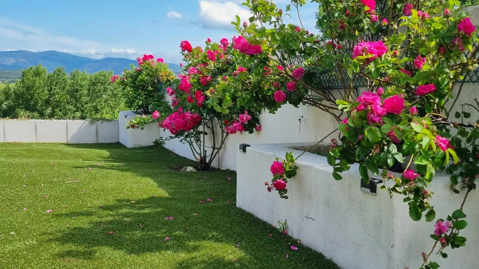 Panorama-Garten Sommer
