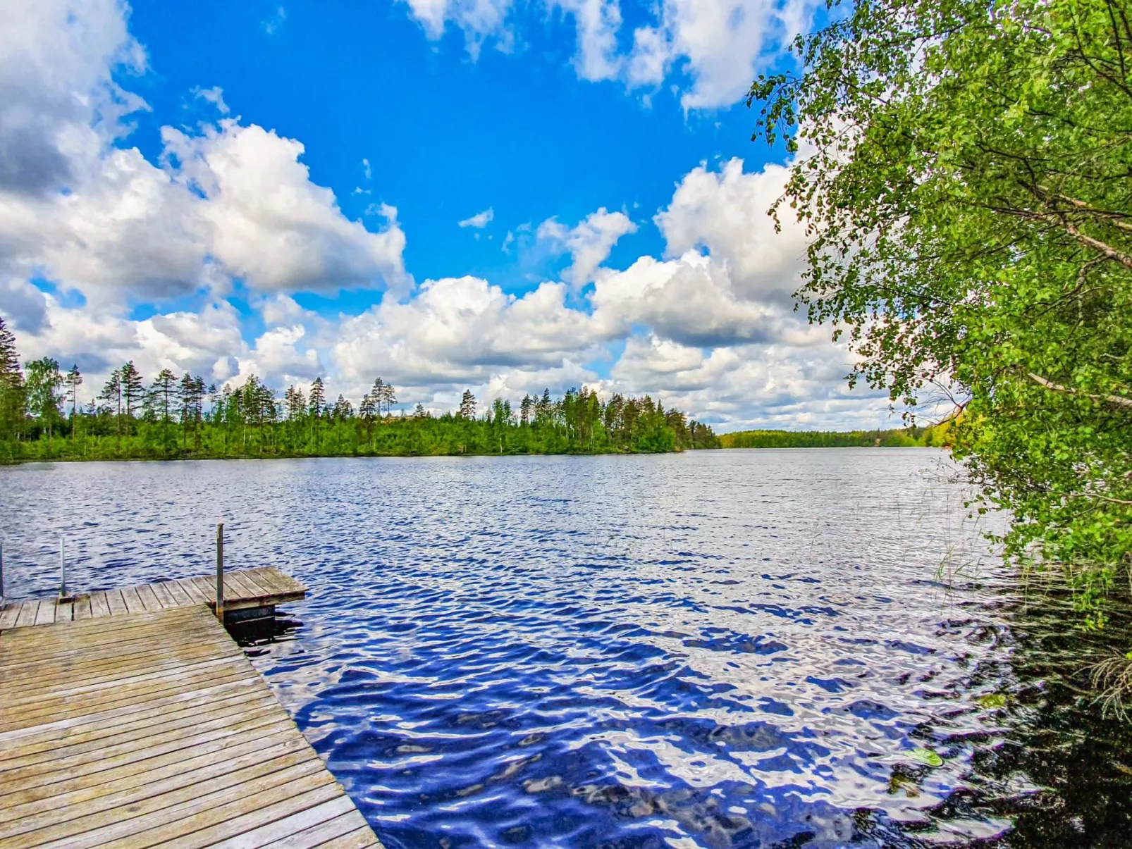 Rinne-expertti-Inside