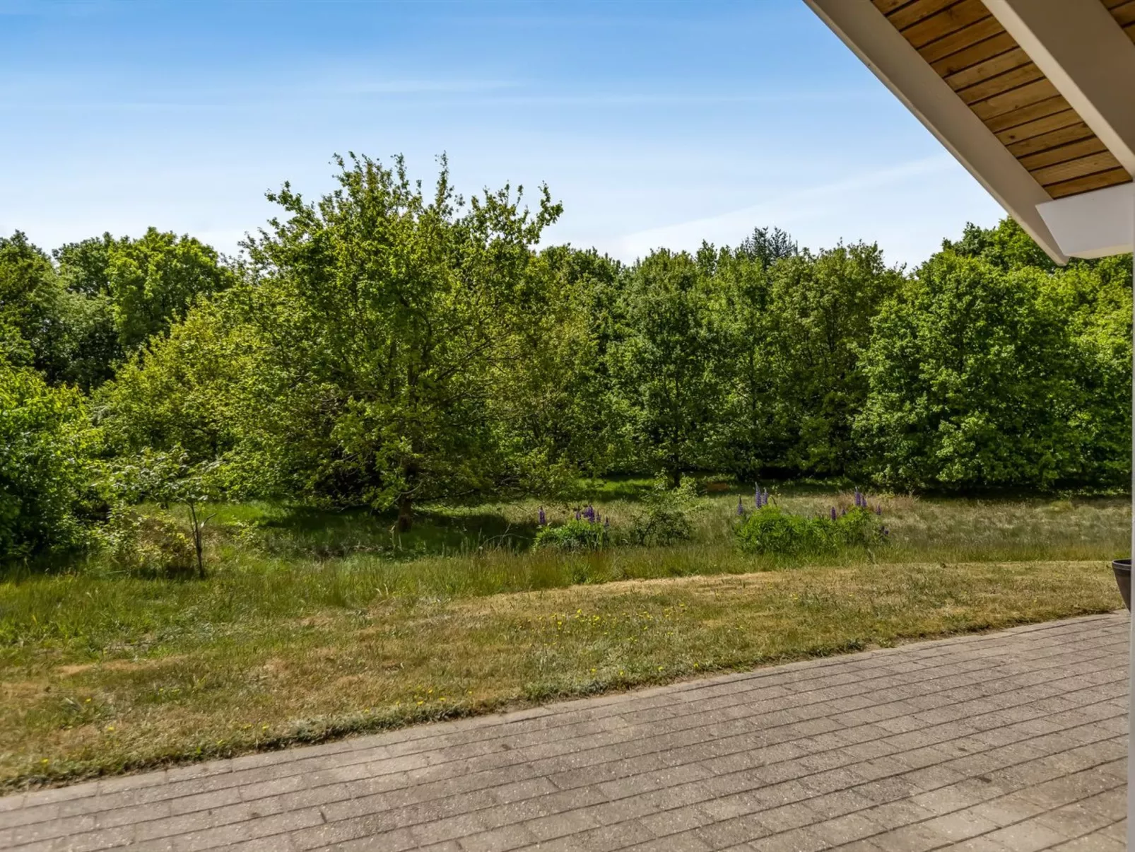 "Truels" - 30km from the sea-Draußen