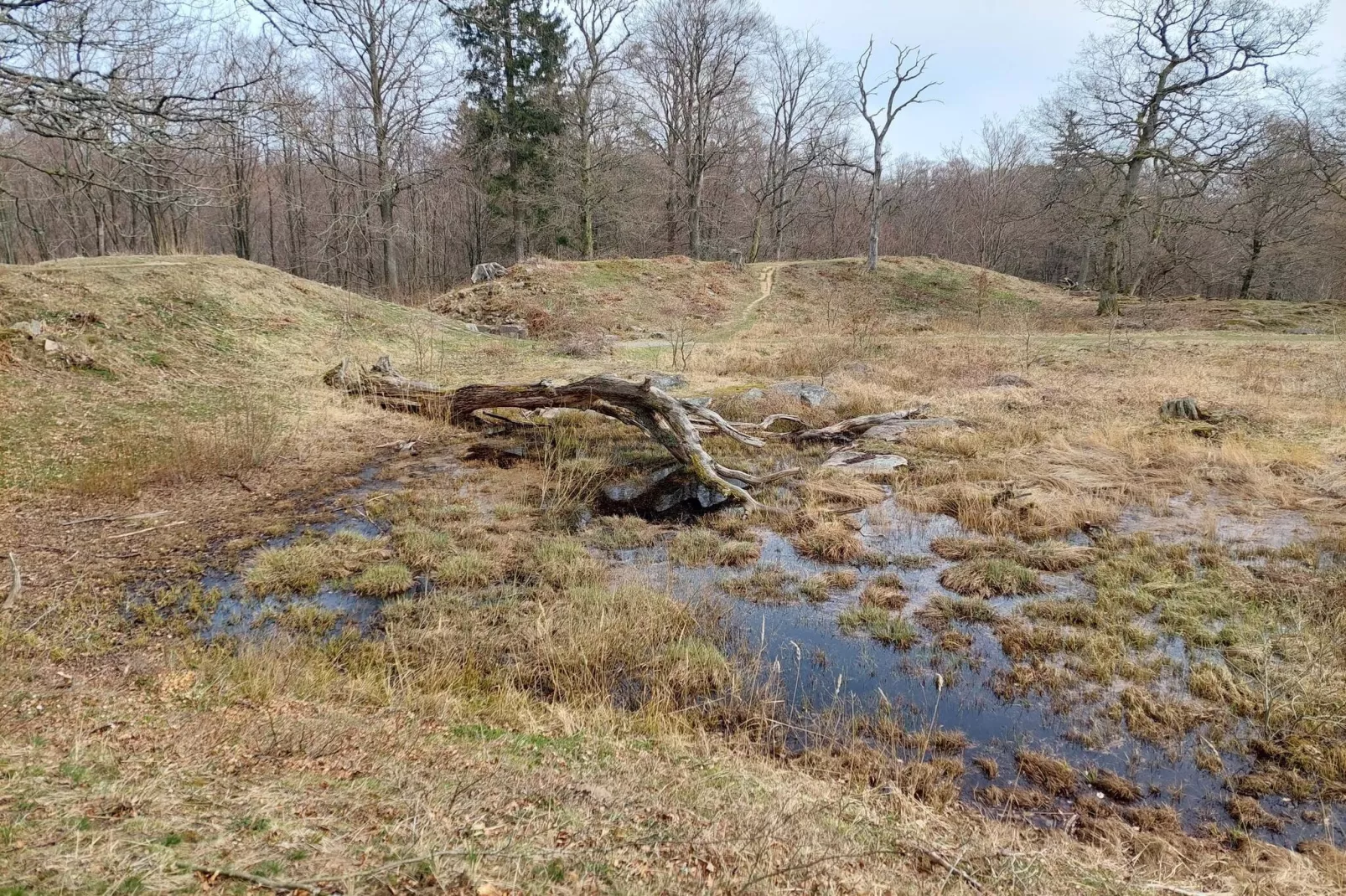 5 person holiday home in Rønne-Untagged