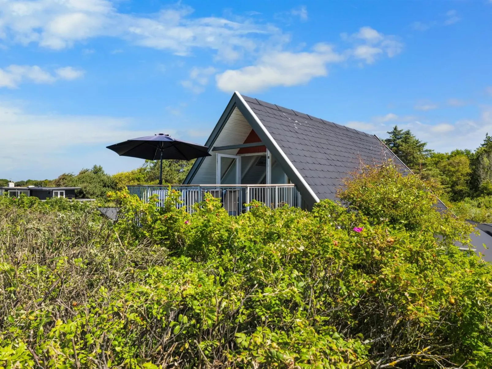 "Luci" - 20m from the sea-Draußen