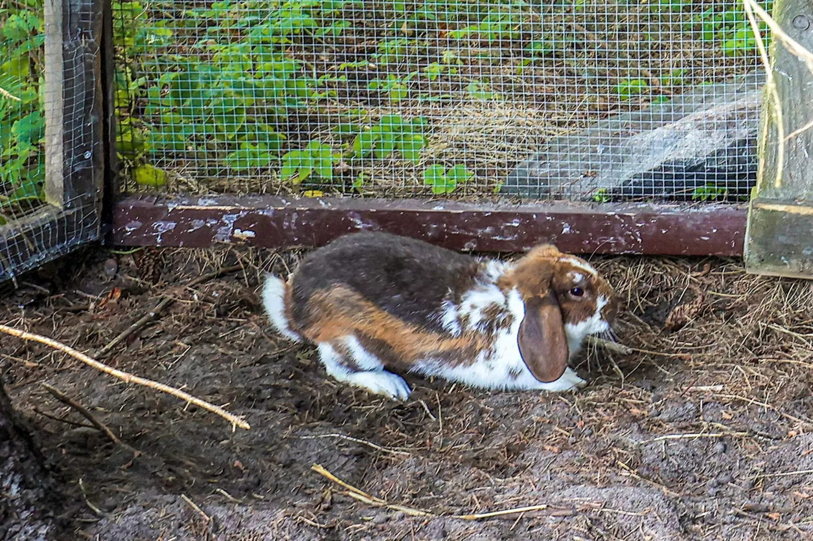 4 star holiday home in Asaa-Untagged