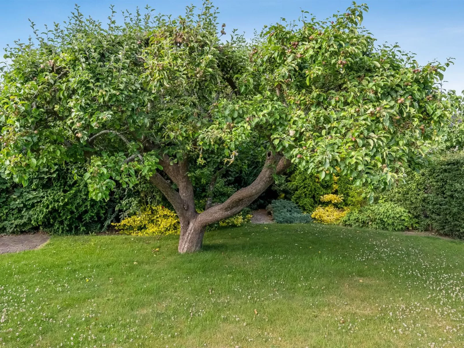 "Sampsa" - 75m from the sea-Outside