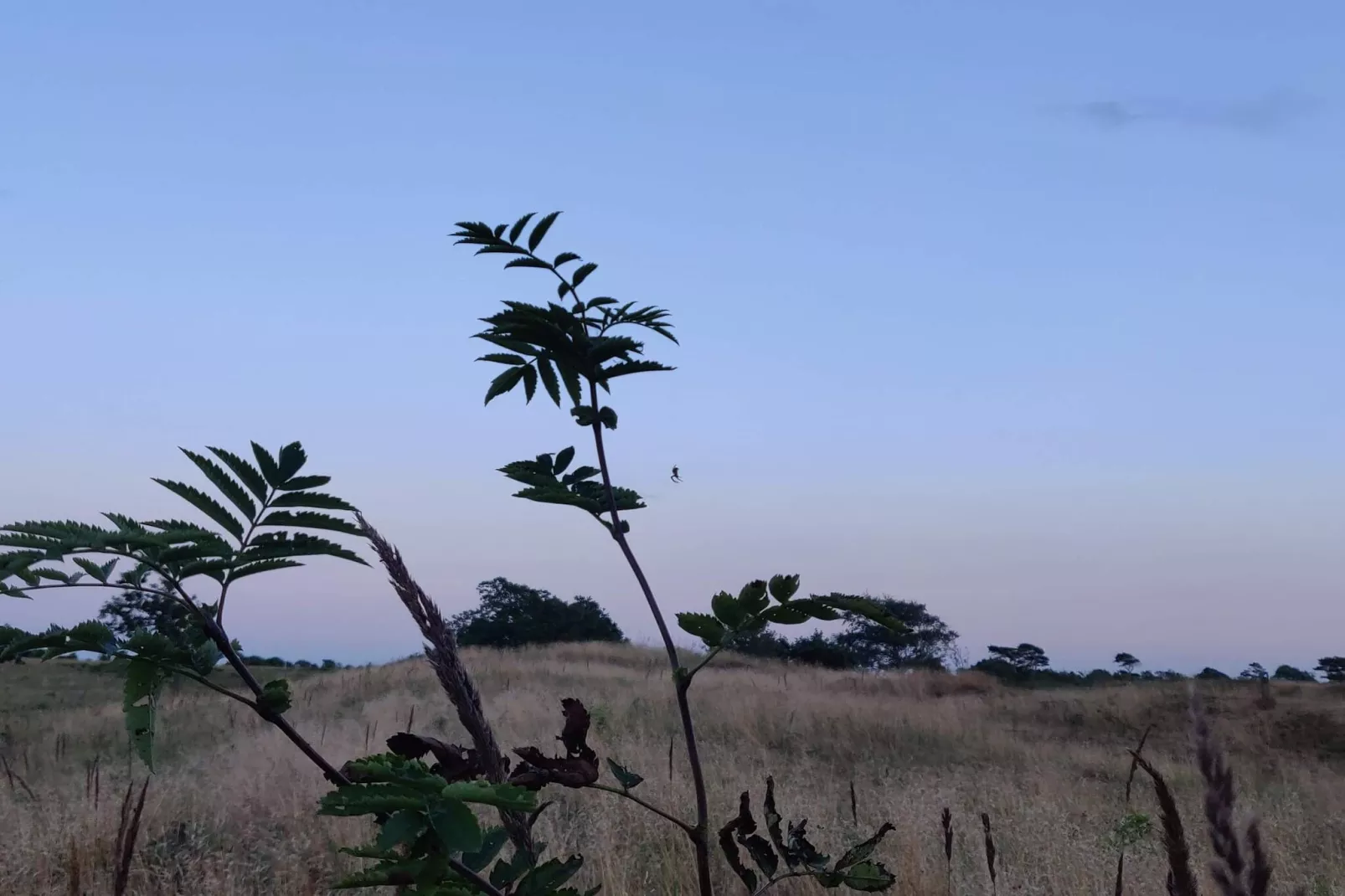 4 etoiles maison de vacances a Brønderslev-Non tagué