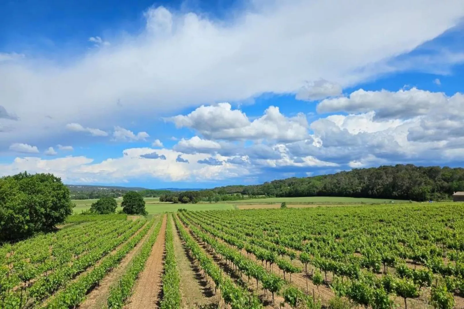 Appartement La Pampa-Areas within 1km in summer