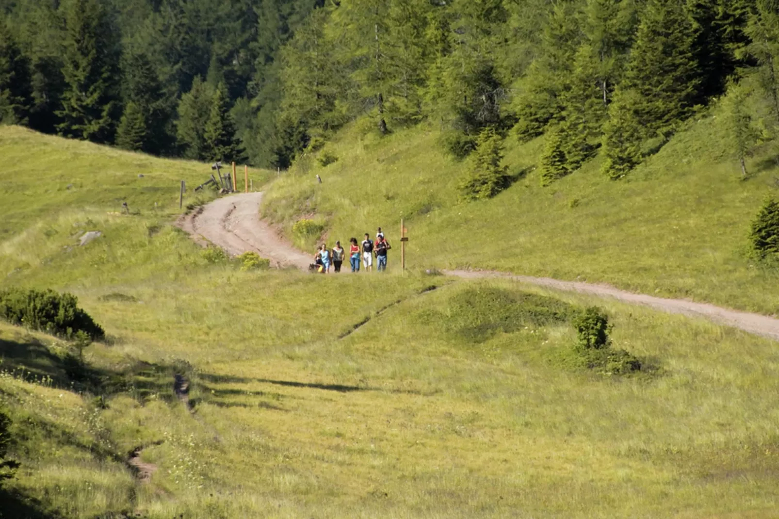 Renetta Mansarda-Areas within 5km in summer