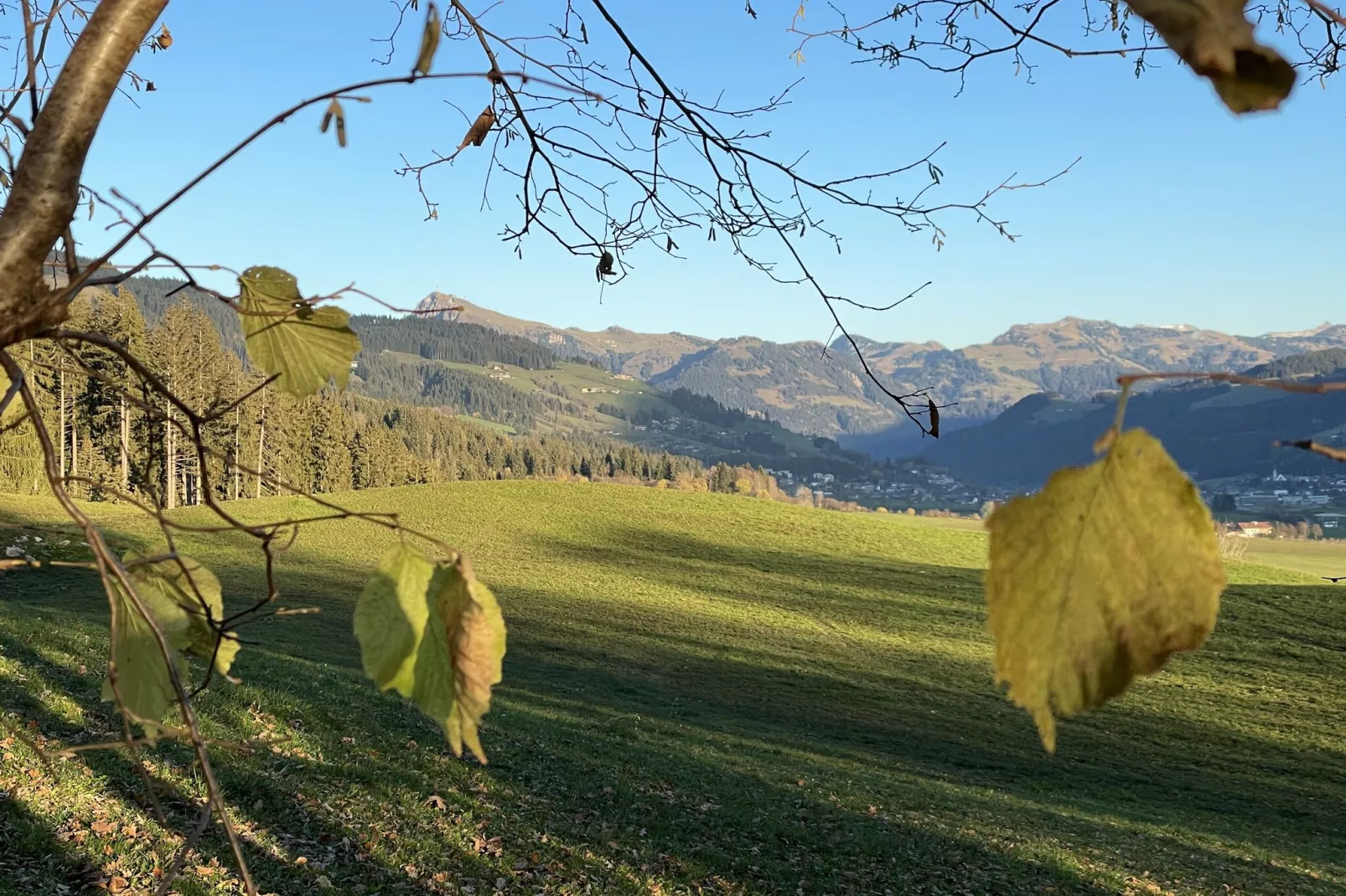 Residenz Edelalm Top 3-Areas summer 1km