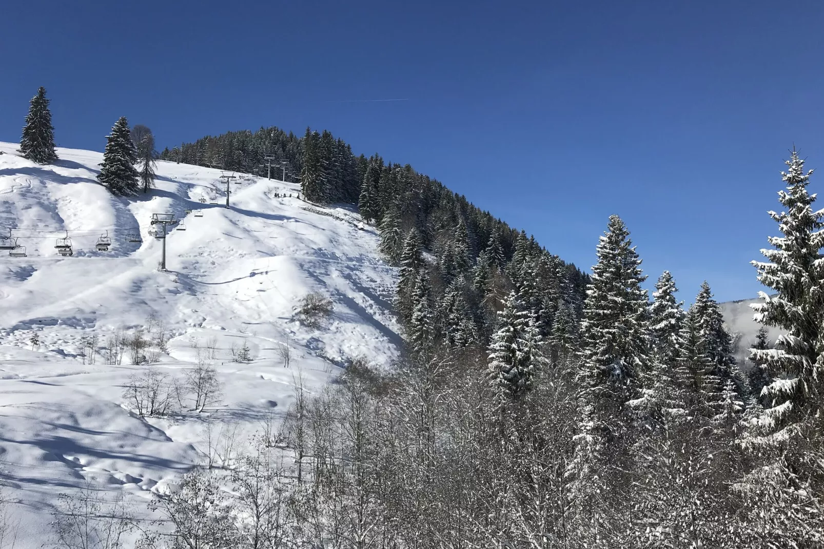 Residenz Edelalm Top 3-Area winter 1km