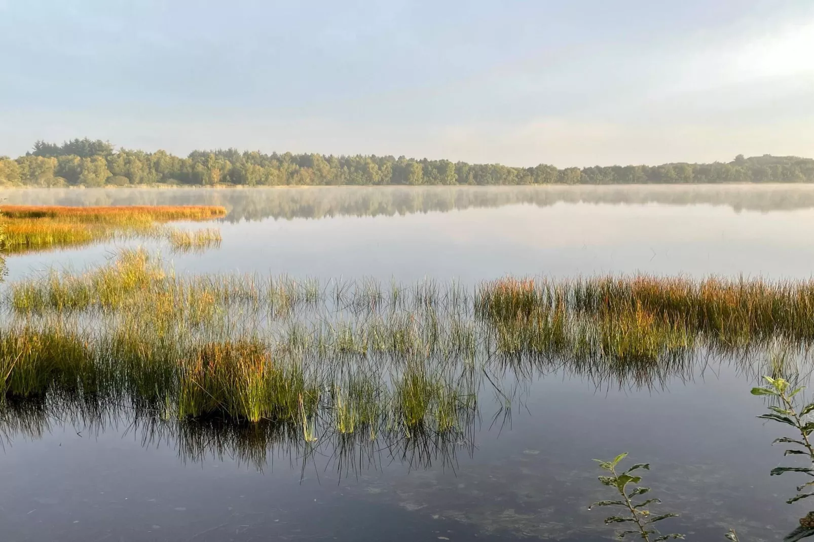 5 etoiles maison de vacances a Ansager