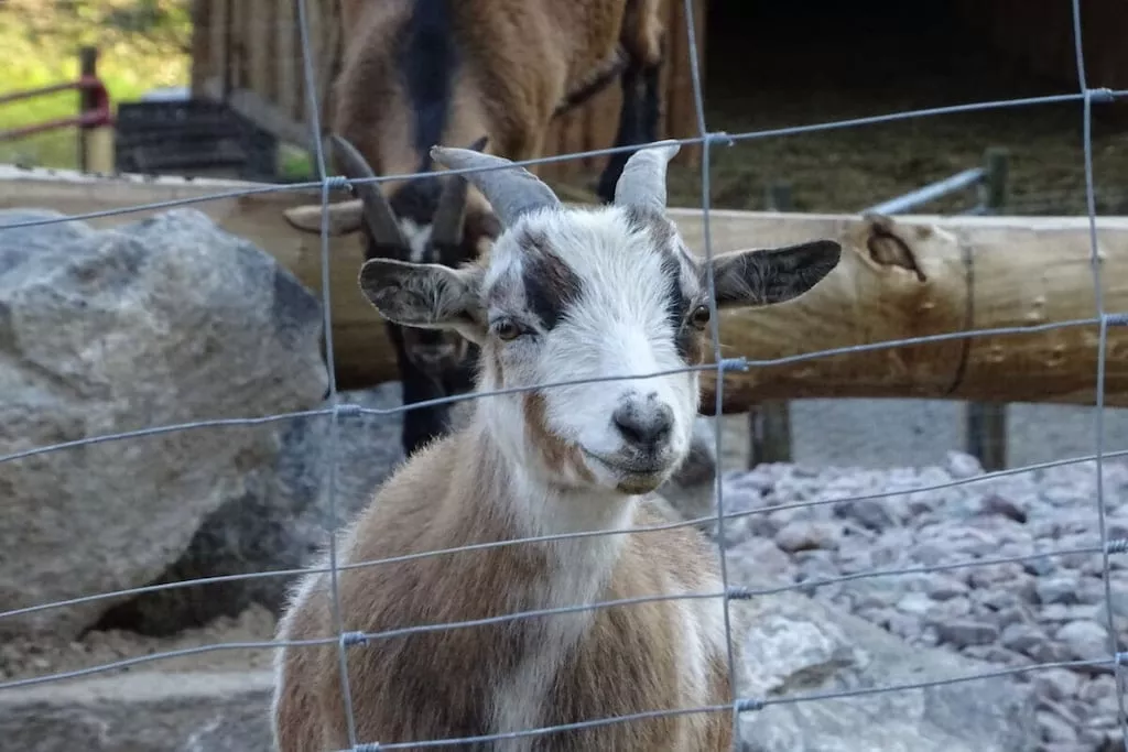 27350-Nicht zugeordnet