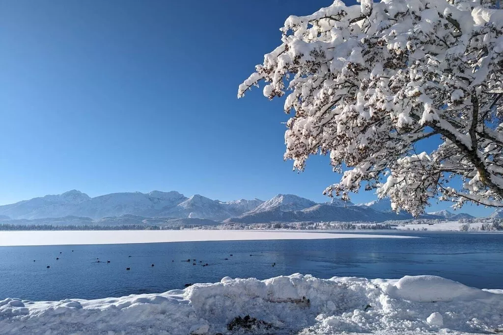 479944-Nicht zugeordnet